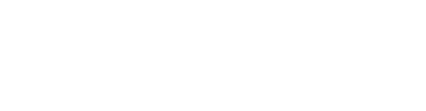 SAI Mindware Solution